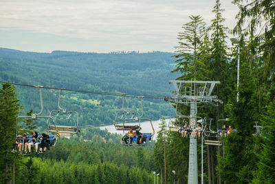 People on road amidst trees in forest against sky