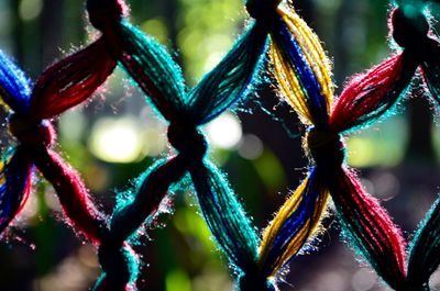 Close-up of decorations