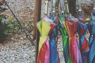 Close-up of multi colored hanging on tree