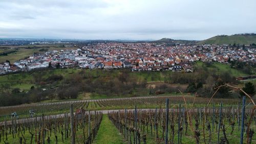 Aerial view of agricultural field in town against sky