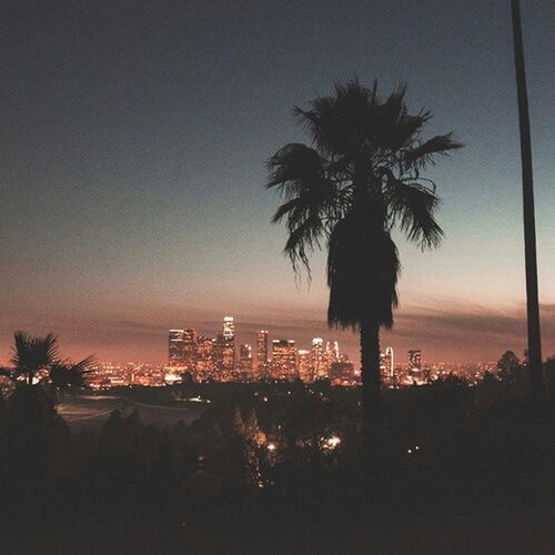 palm tree, tree, silhouette, built structure, building exterior, architecture, illuminated, city, sunset, sky, tall - high, cityscape, growth, skyscraper, dusk, night, sea, nature, outdoors, no people