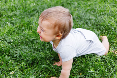 Little boy crawling on grass.kid is laughing.outdoor activity for kid.child on lawn with grass.