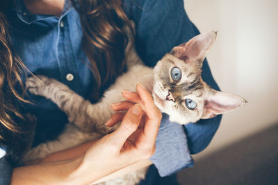 Croped photo of young woman is cuddling and hugging her cute curious devon rex cat.