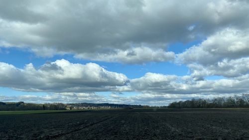 Scenic view of agricultural field against sky