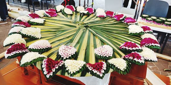 High angle view of flowering plant