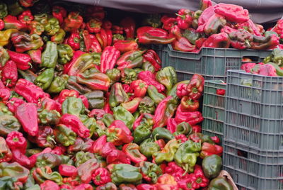 Red and green bell peppers for sale at market stall