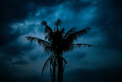 Low angle view of silhouette palm tree against sky at night