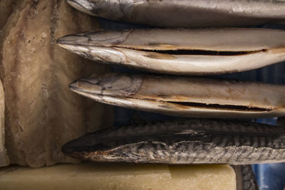 Close-up of fish for sale in market