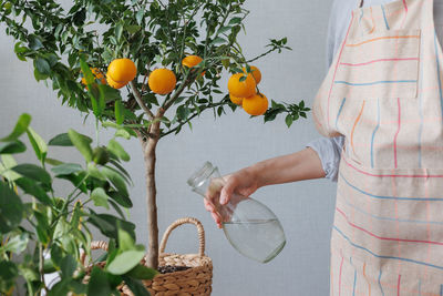 Midsection of woman holding fruits