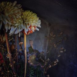 Close-up of flowers in water