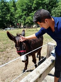 Young man pampering donkey in pen on field