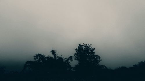 Low angle view of silhouette trees in forest against sky