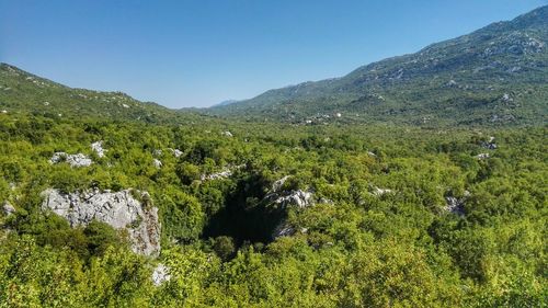 Scenic view of green landscape against clear sky