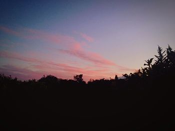 Silhouette of trees at sunset