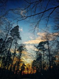 Low angle view of silhouette trees against sky at sunset