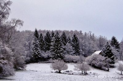 Scenic view of snow covered field