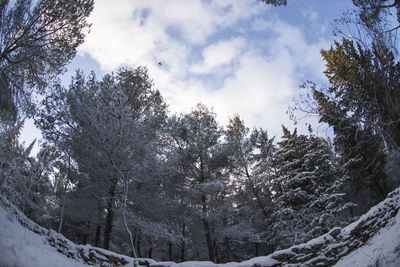 Scenic view of snow covered landscape