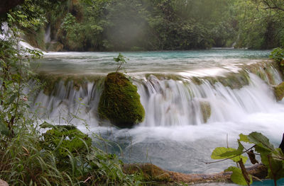 Scenic view of waterfall in forest