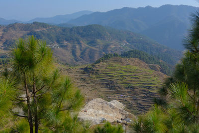 mountain