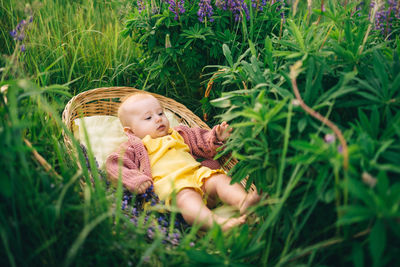 High angle view of young woman lying on grass