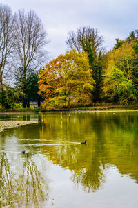 Scenic view of lake during autumn