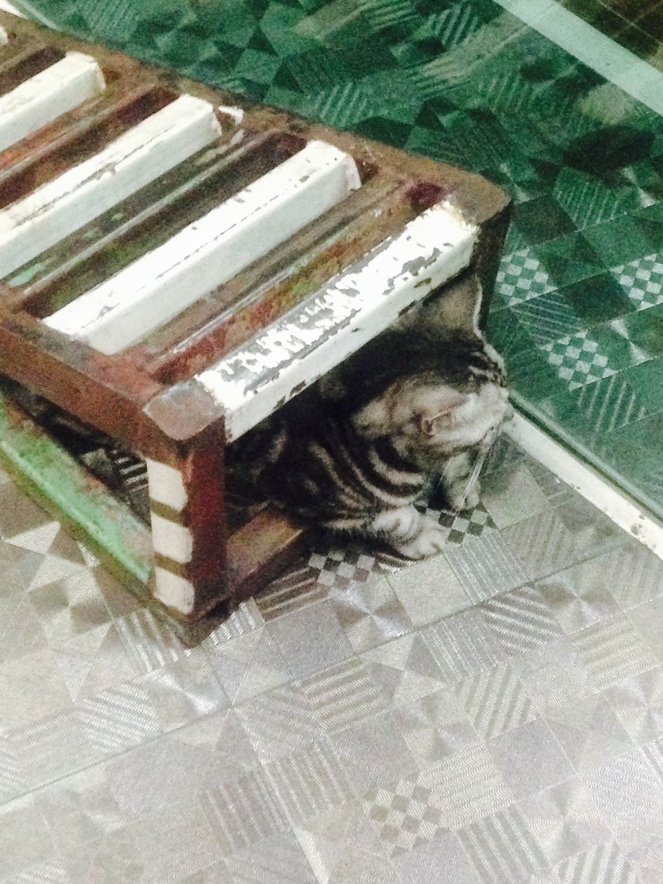 high angle view, indoors, pets, domestic cat, flooring, table, no people, tiled floor, domestic animals, swimming pool, wood - material, cat, pattern, one animal, day, reflection, relaxation, sunlight, steps, floor