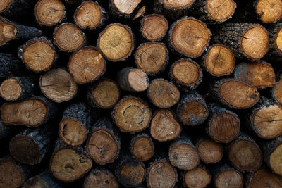 Full frame shot of logs