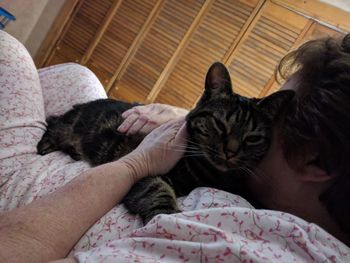 Close-up of hand with kitten