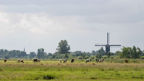 Cows grazing on grassy field by windmill against cloudy sky