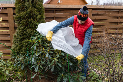 Winter protection for garden, winter shelter for garden plants, shelter rhododendrons