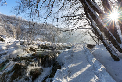Frozen trees on snow covered land against sky