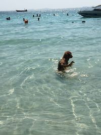 Man feeding in sea