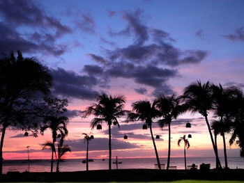 Silhouette of palm trees on beach