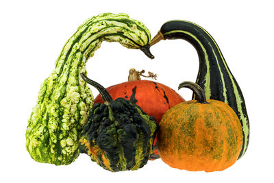 Close-up of pumpkin against white background