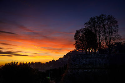 Silhouette trees against sky during sunset