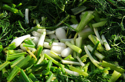 Full frame shot of chopped scallions