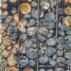 Full frame shot of logs in forest