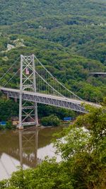 Bridge over river in forest