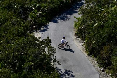 Man riding bicycle on road amidst trees