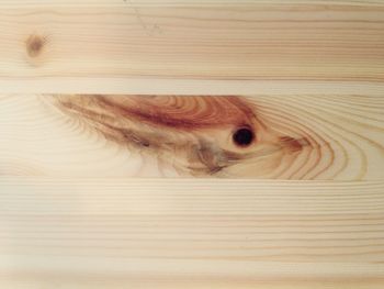 Full frame shot of cat