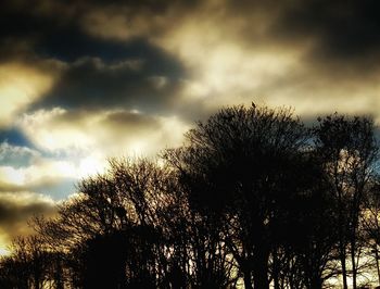 Low angle view of silhouette trees against cloudy sky