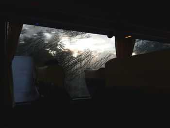 Silhouette trees seen through window