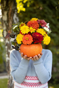 Close-up of person holding flower plant