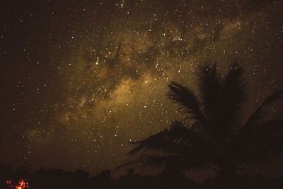Low angle view of silhouette trees against sky at night