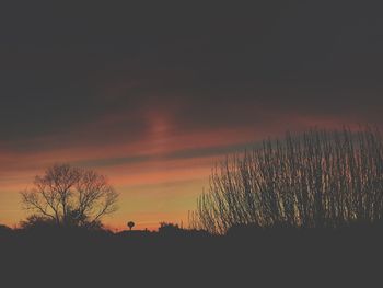 Silhouette trees on landscape against sky at sunset
