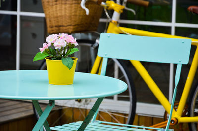 Close-up of yellow flowers on table