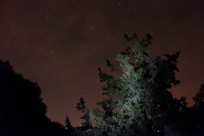 Low angle view of star field against star field