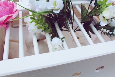 High angle view of white roses on plant