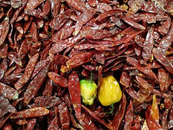 Full frame shot of chili peppers