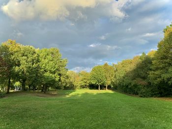 Trees on landscape against sky